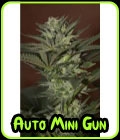 Auto Mini Gun - Seedsman Seeds