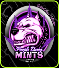 Auto Purple Dawg Mints - Critical Mass Collective