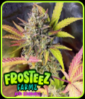 Auto StarBurzt - Frosteez Farmz