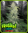 Auto Strawbz - Frosteez Farmz