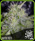 Auto Yeti - Short Stuff Seeds