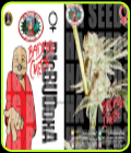 Badazz Cheese - Big Buddha Seeds