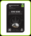 Banana Kush Cake - Sensi Research Seeds