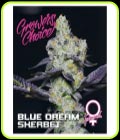 Blue Dream Sherbet - Growers Choice