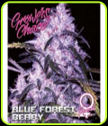 Blue Forest Berry - Growers Choice