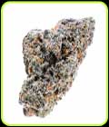 Blue Nerdz Auto - TerpFarmz Seeds