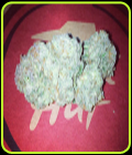 Blue Tooth - Dankonomics Genetics