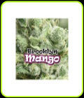 Brooklyn Mango - Dr Underground