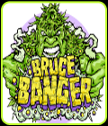 Bruce Banger - Seedsman Seeds