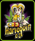 SALE - CBD Harlequin 0.3/18% - Sumo Seeds - Sumo Seeds