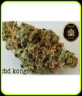 CBD Kong's Kush - Sumo Seeds