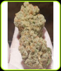 Candy Lime - Zmoothiez Seeds