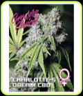 Charlotte's Dream CBD - Growers Choice
