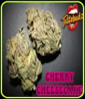 Cherry Cheesecake Auto - TasteBudz Seeds