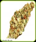 Cinderella Punch - Dispensario Seeds