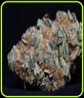 Cookie Dawg - Big Head Seeds