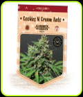 Cookies N Cream Auto - Garden of Green