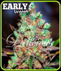 Cotton Candy Kush Early Version - Delicious Seeds