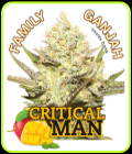 Critical Man - Family Ganjah Seeds