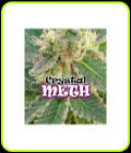 Crystal METH - Dr Underground