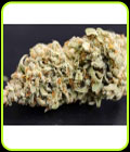Dessert Isle Auto - Night Owl Seeds