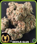 Devils Glue - Devil's Harvest Seeds