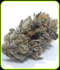 Do-Si-Dos x Watermelon Zkittlez - Purple City Genetics