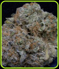 Don Girl Scout Cookies - Don Avalanche Seeds