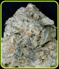 Don OG Kush - Don Avalanche Seeds