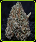 Fire OG Kush - Big Head Seeds
