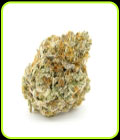 Forbidden Runtz - Growers Choice