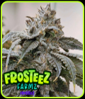 Frosteez - Frosteez Farmz