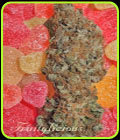 Fruitylicious - Mandala Seeds