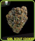 Girl Scout Cookies - Blackskull Seeds