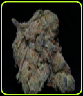 Girl Scout Cookies - Big Head Seeds