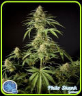 Gokunk - Philosopher Seeds