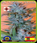 BC Golden Skunk - Next Generation Seeds
