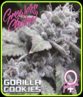 Gorilla Cookies - Growers Choice