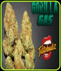 Gorilla Gas Auto - TasteBudz Seeds