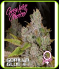 Monkey Glue - Growers Choice