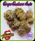 Grape Gushers Auto - TasteBudz Seeds