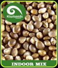 Indoor Mix - Kiwi Seeds