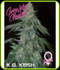 KO Kush - Growers Choice