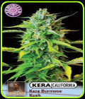 Kera California - Burmese Kush - Kera Seeds