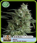 Kera Classic Auto - OG Kush Auto - Kera Seeds