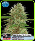 Kera Classic - Medical White Widow - Kera Seeds