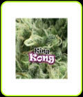 King Kong - Dr Underground