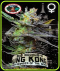 King Kong - Big Buddha Seeds