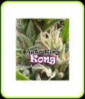 King Kong Auto - Dr Underground