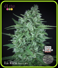 La Rica CBD Auto - Elite Seeds